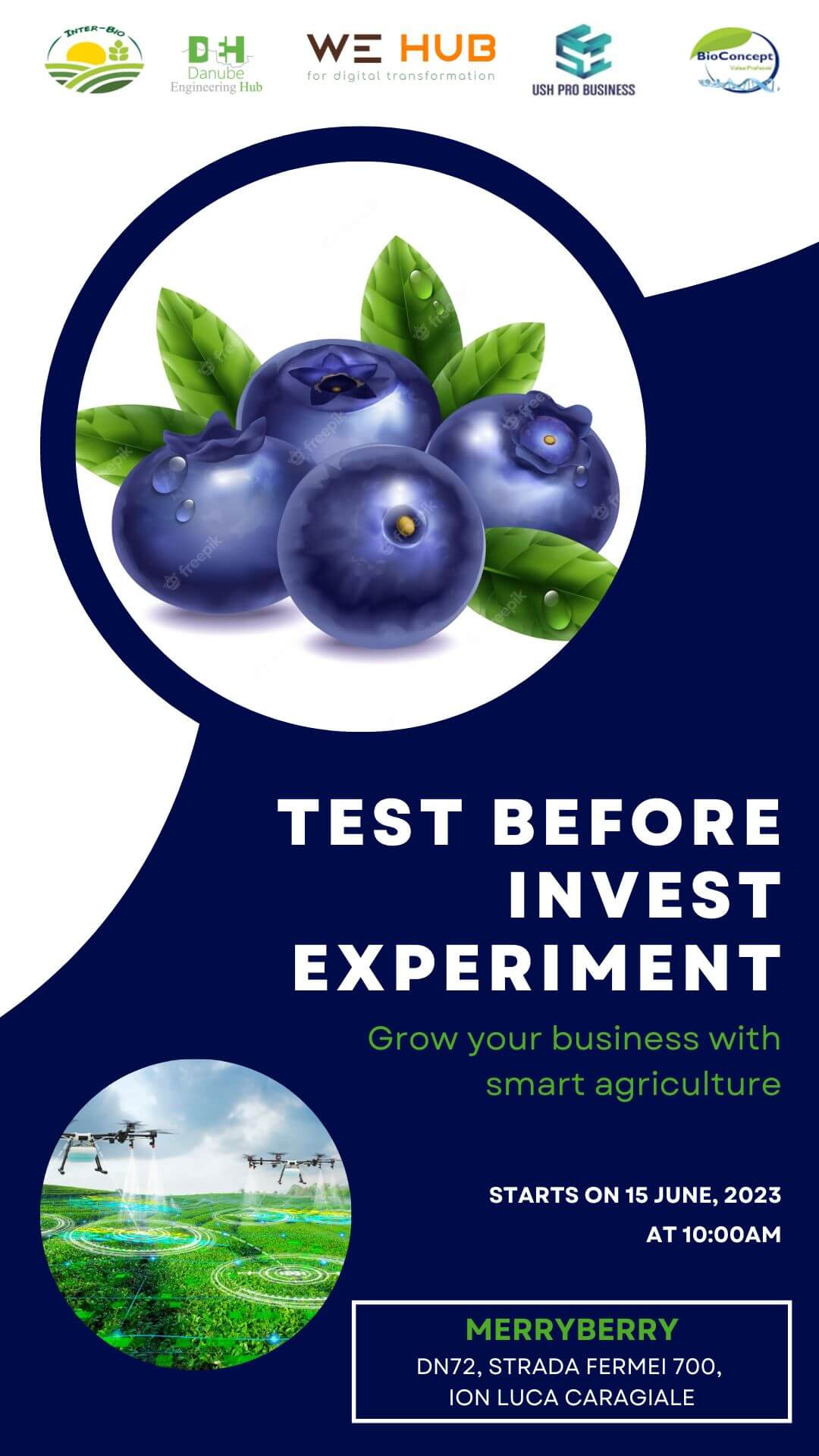 Poster Merryberry